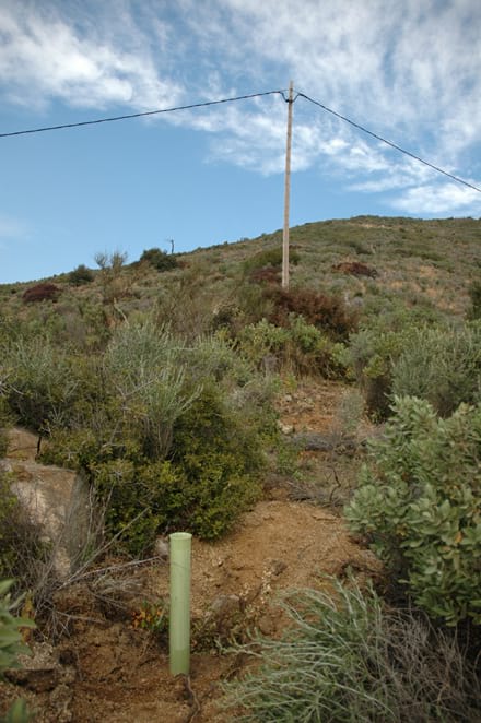 Galeria imatges Imatge del projecte
