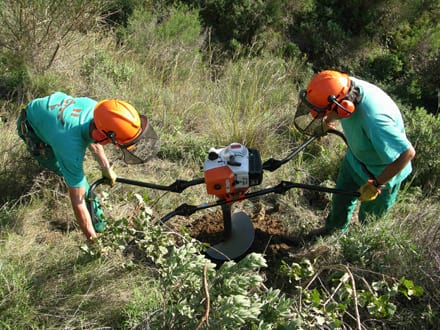 Fitxa del projecte Imatge del projecte