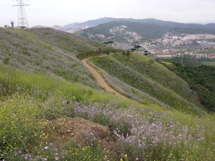 Galeria imatges Imatge del projecte