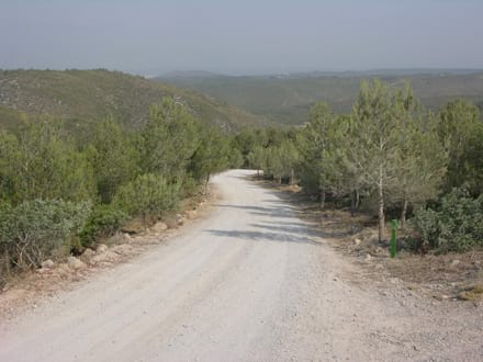 Fitxa del projecte Imatge del projecte