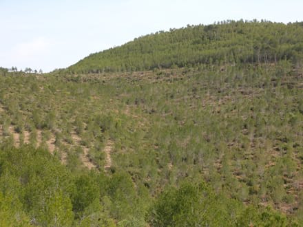 Fitxa del projecte Imatge del projecte