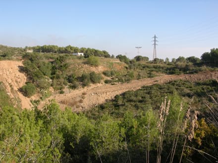 Imatge del projecte
