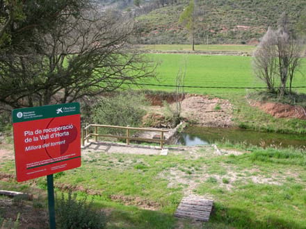 Fitxa del projecte Imatge del projecte
