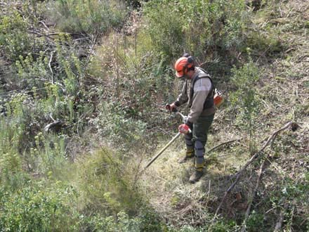 Fitxa del projecte Imatge del projecte