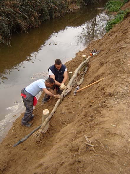 Imatge del projecte