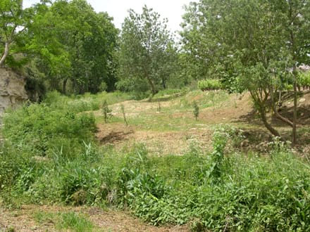 Imatge del projecte