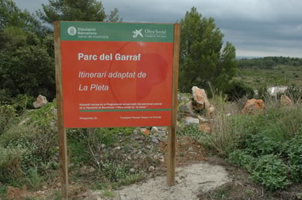 Imatge del projecte