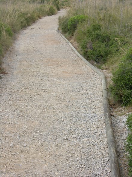 Imatge del projecte