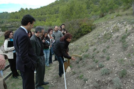 Imatge del projecte