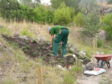 Imatge del projecte