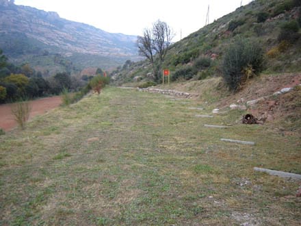 Imatge del projecte