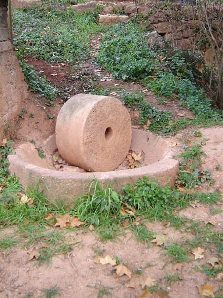 Imatge del projecte