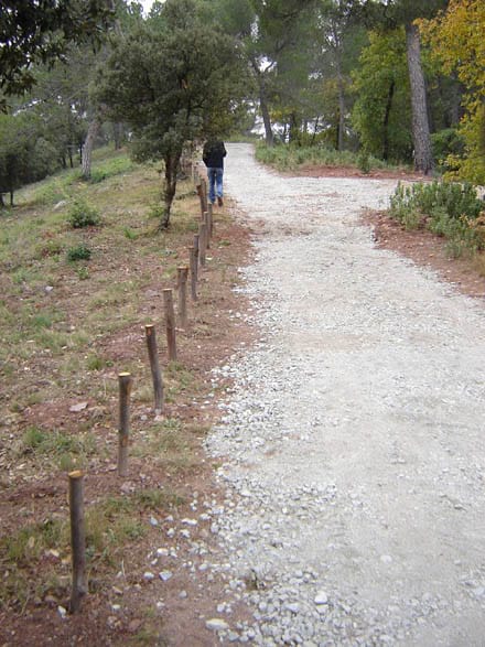 Imatge del projecte