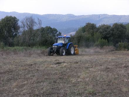 Fitxa del projecte Imatge del projecte