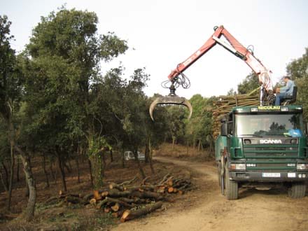 Fitxa del projecte Imatge del projecte