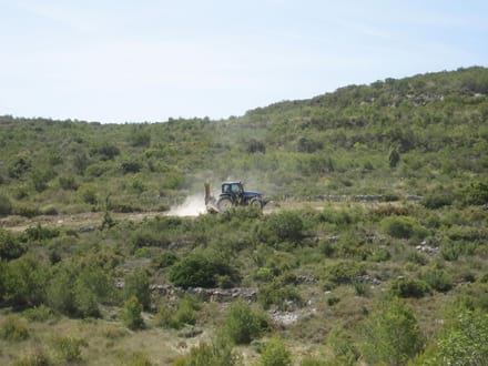 Imatge del projecte