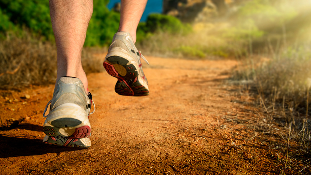 © Smileus | shutterstock © Smileus | shutterstock