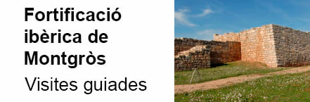 Visites guiades fortificacio iberica de montgros