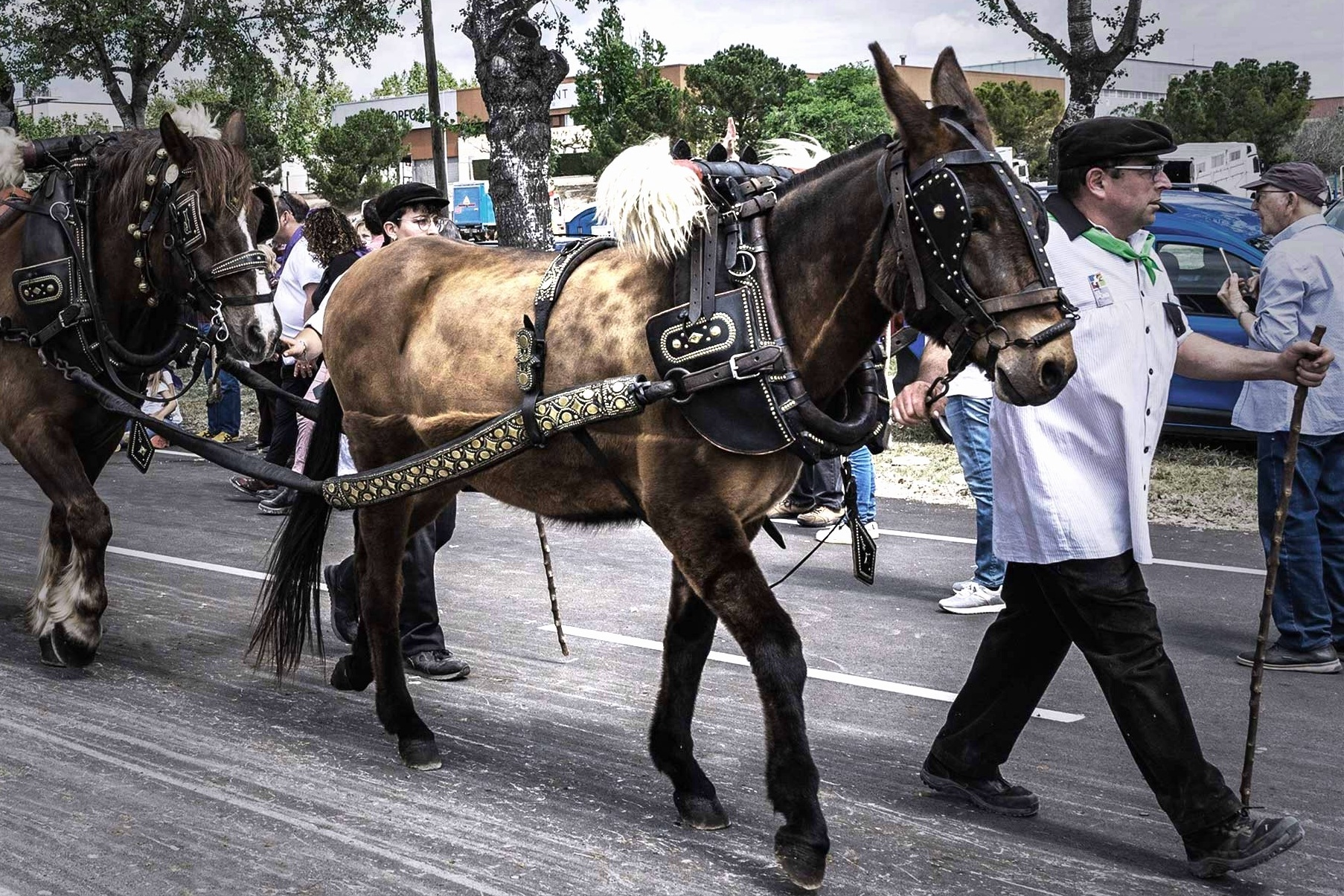 Desfilada dels Tres Tombs