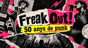 50 anys de punk
