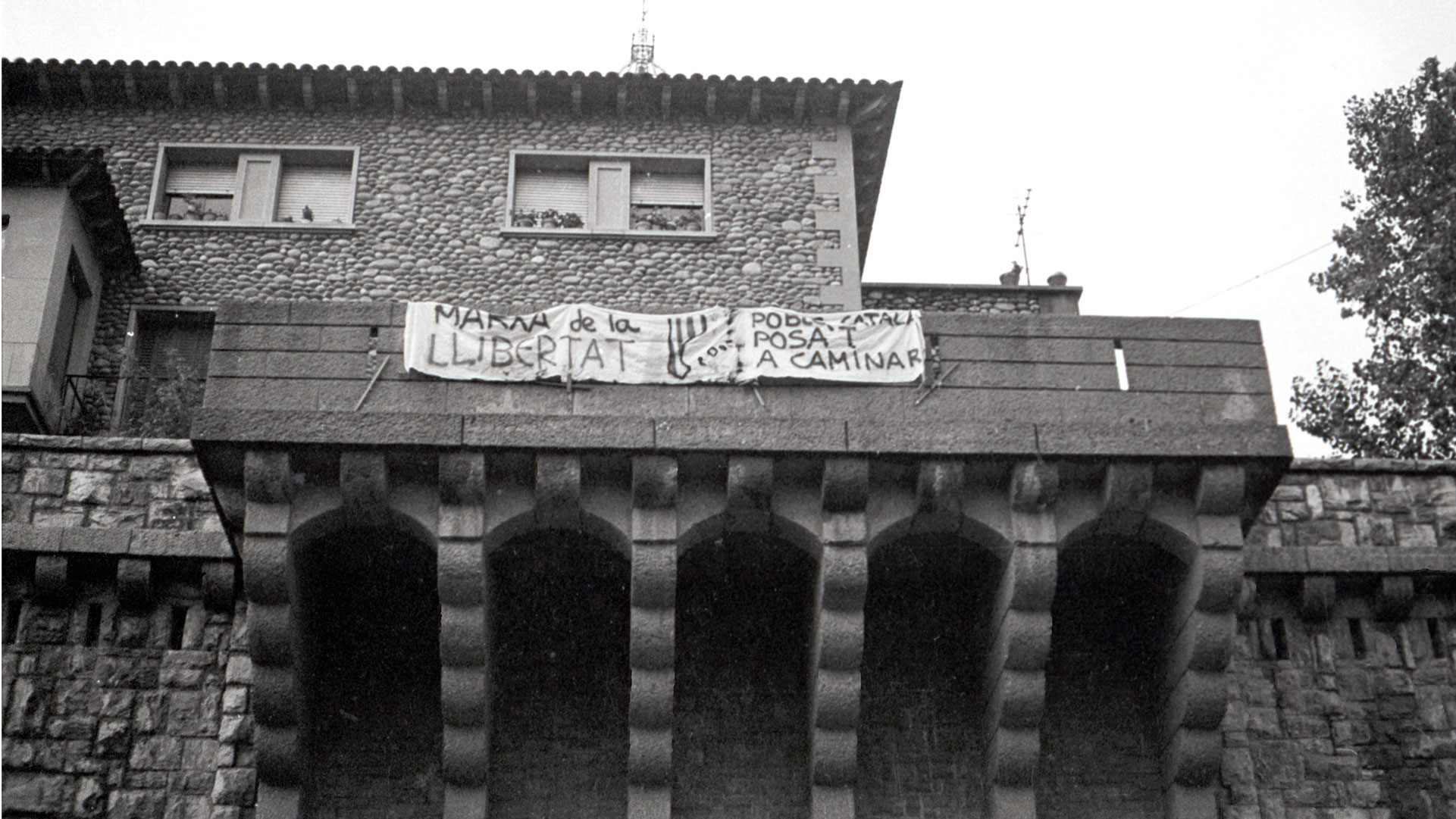 Els primers passos cap a la democràcia (1976-1978)