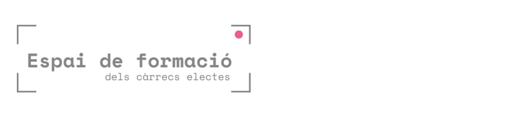 Formació per a electes