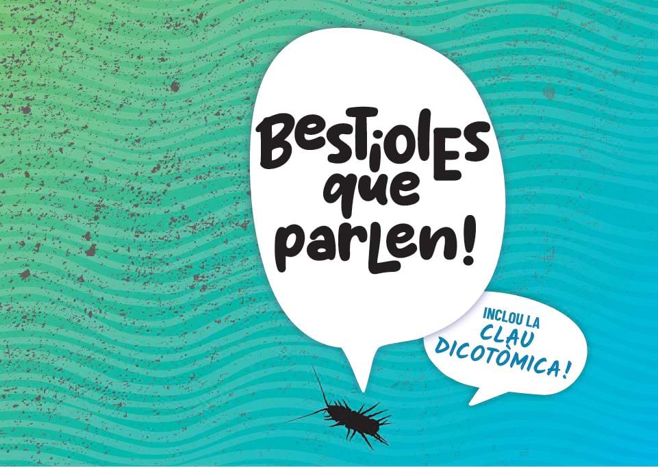 Grafisme del projecte educatiu Bestioles que parlen