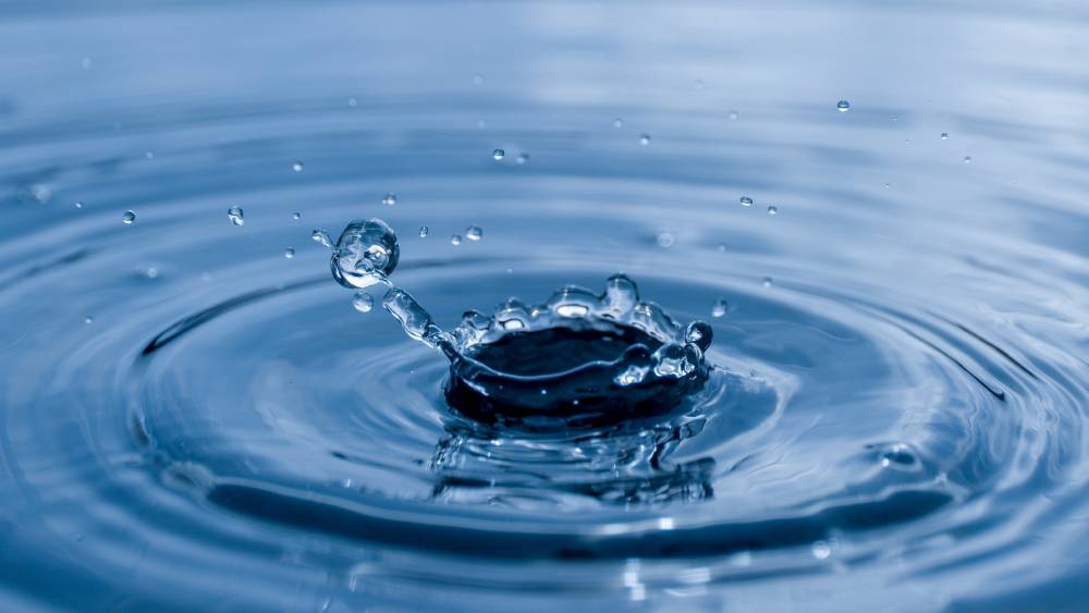Foto: Nattapol_Sritongcom / Shutterstock.com