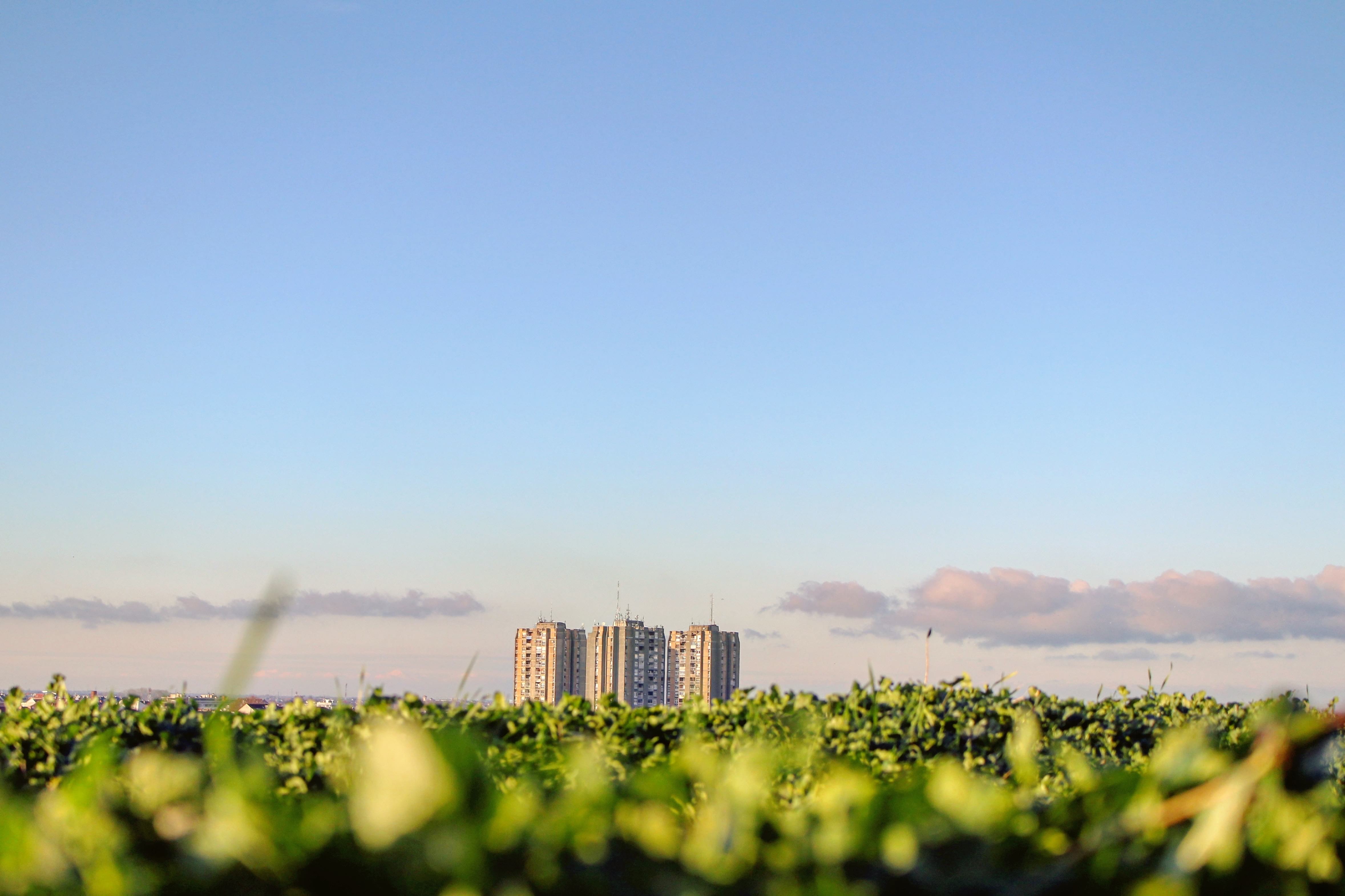 Foto: Iva Rajovic a Unsplash