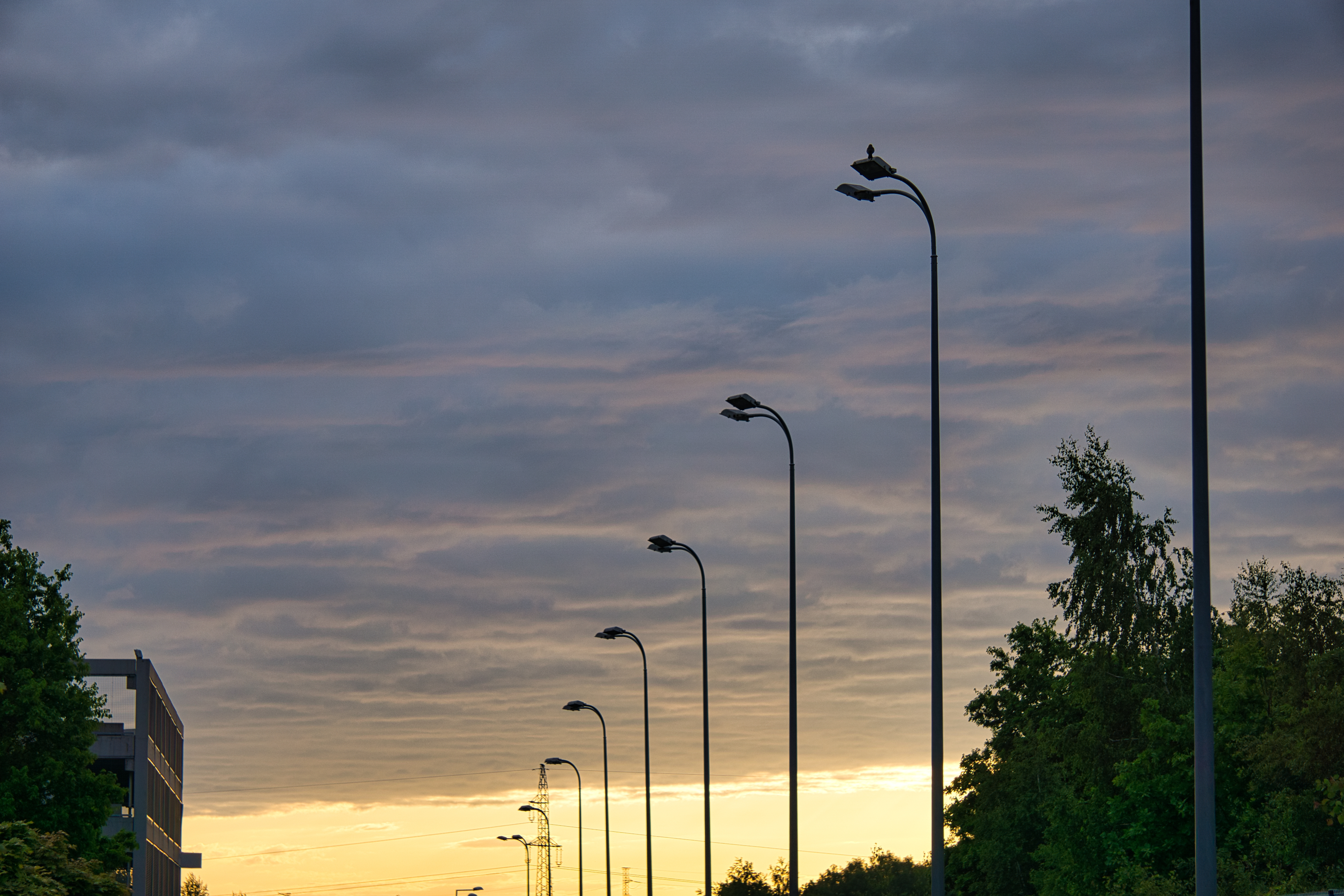 Renovar l'enllumenat públic és una de les prioritats per a la transició energètica. Foto: Shutterstock.com Renovar l'enllumenat públic és una de les prioritats per a la transició energètica. Foto: Shutterstock.com