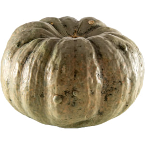 Calabaza de hierro de Osona