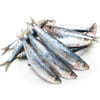 sardina