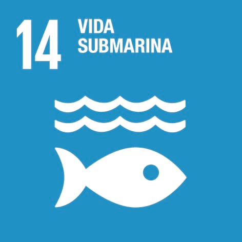 Logo ODS 14 - Salut i vida marina
