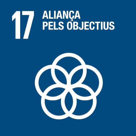 Logo ODS 17 - Aliança pels ODS
