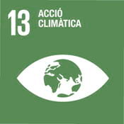 Logo ODS 13 - Salut i canvi climàtic