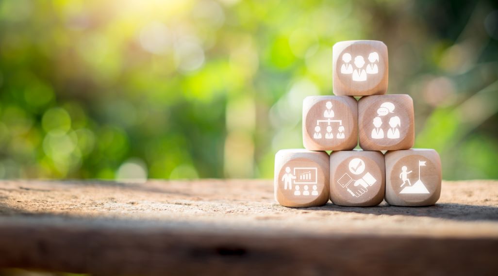 © Mongta Studio / Shutterstock.com