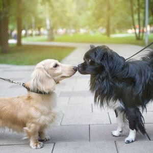 © yulana / Shutterstock.com © yulana / Shutterstock.com