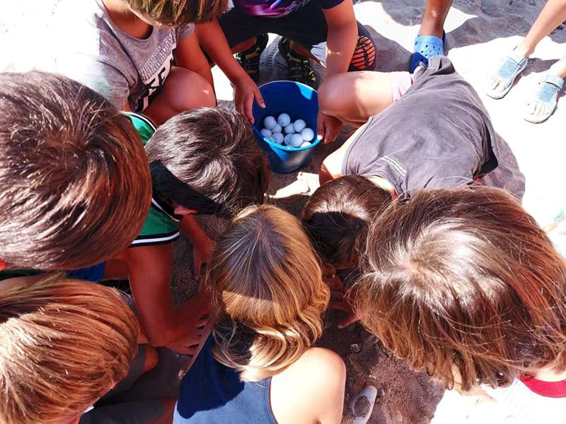 Activitats del casal d'estiu al CEM Activitats del casal d'estiu al CEM