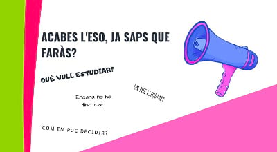 Orientació on-line