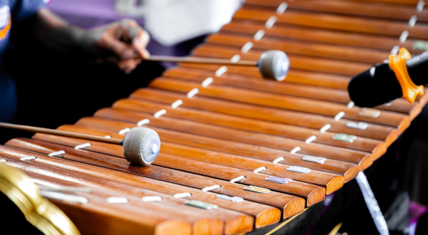 19a edició del Cercle de comparació intermunicipal d'escoles de música. Resultats de l'any 2023