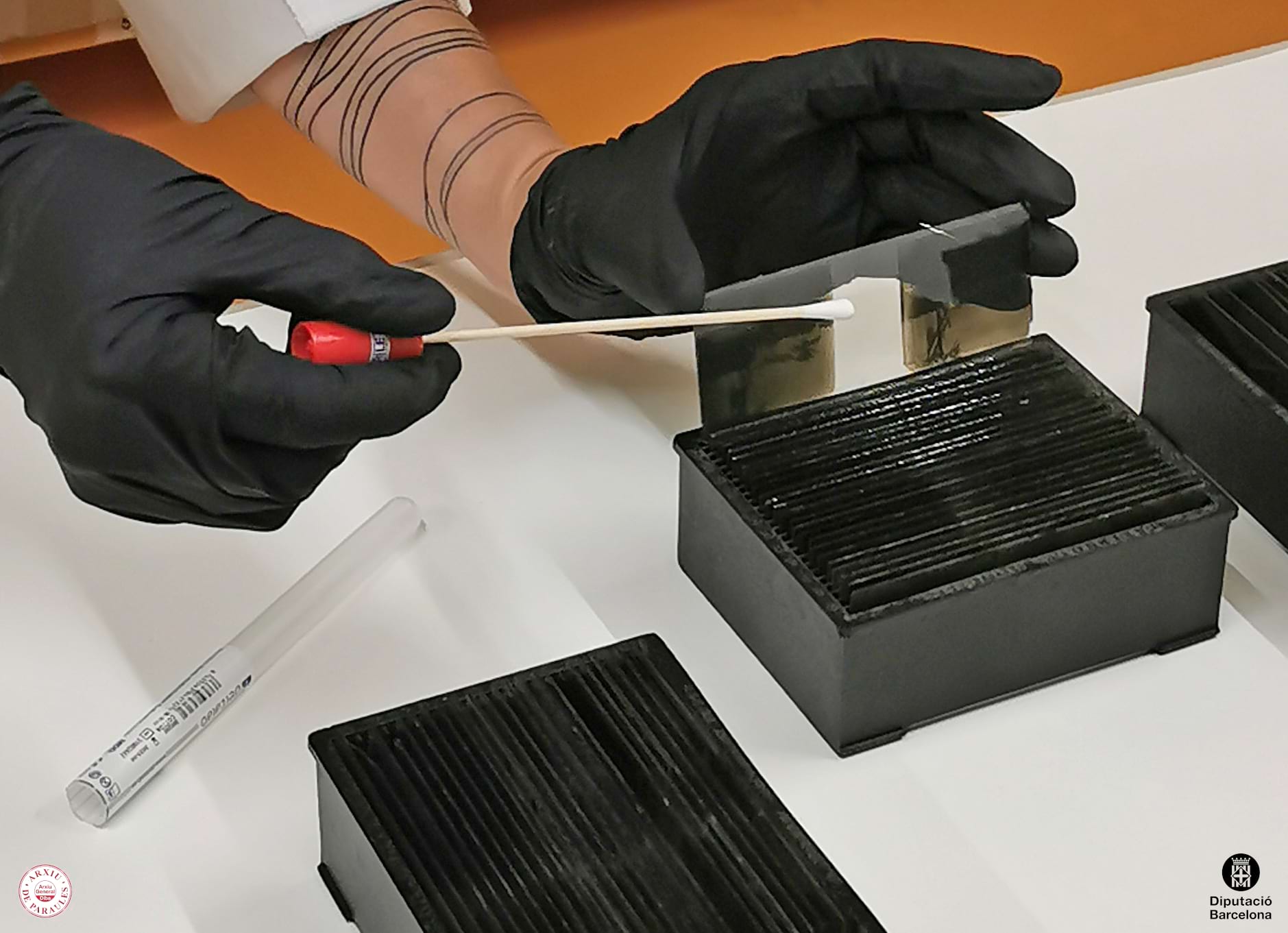 Imatge que mostra treball de presa de mostres en fotografies per detectar infeccions per microorganismes