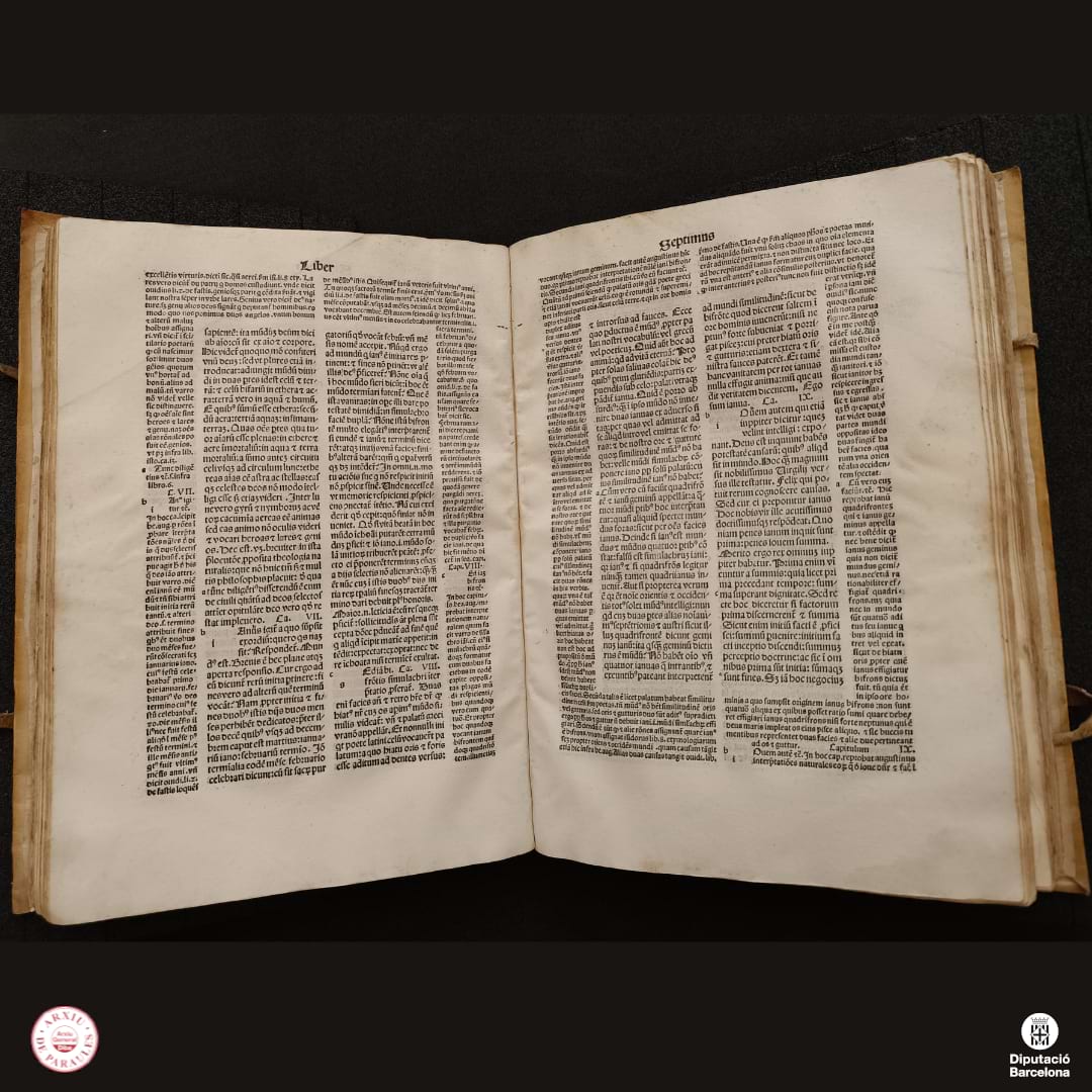 Imatge de l'obra