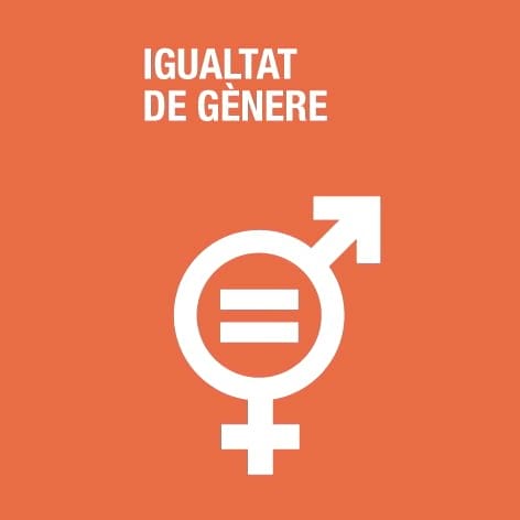Igualtat de gènere