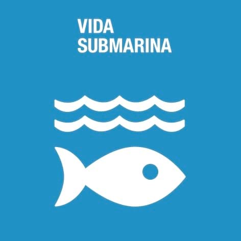 Vida submarina