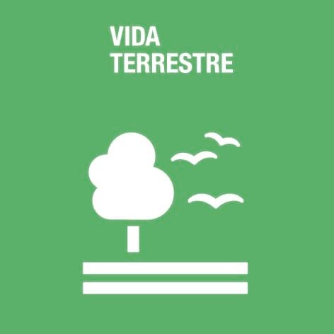 Vida terrestre