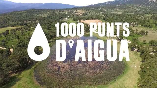 Divulgació del portal 1000 punts d'aigua Fotografia: logo del portal web 1000 punts d'aigua